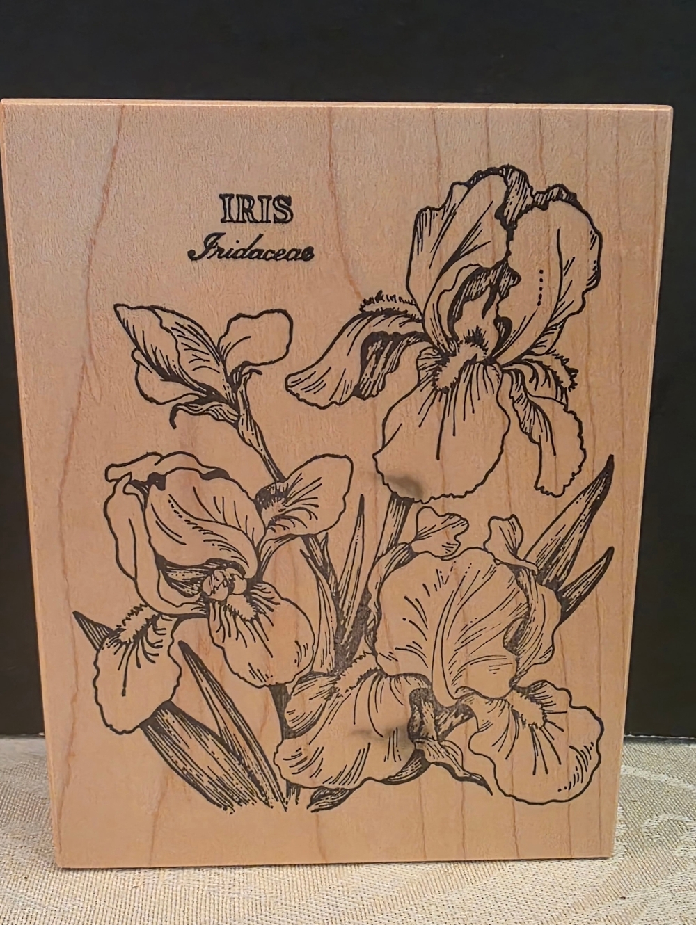 Vintage 1992 Rubber Stamp Iris Flowers PSX K-040 Block 4.5"×3.5" (un-used)